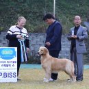 부마클럽 이미지