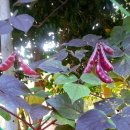 가르멜수도원 이미지