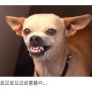 우리코코