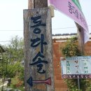 동다솔식당