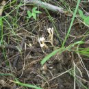 이병용 농장 이미지