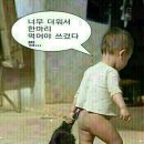 참 이미지