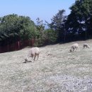 팔봉1교 다리 밑 이미지