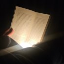 빛고을농장 | 임신 22주차 | 딸기우유 먹고 정밀초음파 검진후기; 빛고을 정밀초음파 소요시간