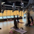 쁘램요가 | 제주공항 요가 쁘램요가 제주점 하타요가 후기!