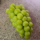 백화농장 | [과일선물 🍇, 프리미엄 포도, 백화점 포도 🟢, 김천 포도 추천] 김천명가 샤인머스켓 후기