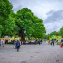 원무술한우촌 이미지