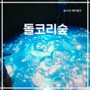 아이랑 제주 안덕 신상 관광지 돌코리숲 후기｜고양이 테마 공간(입장료,할인,수유실, 유모차)