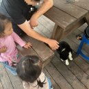 천문대오토펜션 이미지