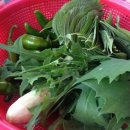 운담미르 이미지