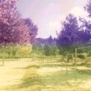 단산초등학교 이미지