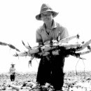 승경활어 이미지