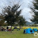 양산 아이와 가볼만한곳 황산공원 캠크닉존 미니기차 후기