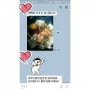 영진꽃집 이미지
