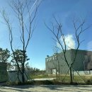 마이럭셔리넷 | 연말모임 호캉스추천 인스파이어리조트 오션타워 오션스위트, 이규제큐티브 4인 후기