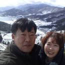 고집불통송가네민박 이미지