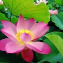 논현로5길 11 이미지