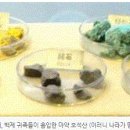 카르마 백제의 마지막 의자왕 이미지