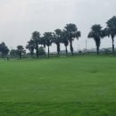 국제세탁프라자 이미지