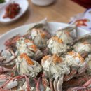 연평도 목포 산꽃게 이미지