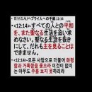 平和を実現する人々は幸いであるという真の意味は＜要約＞ ＜マタイ5:9＞2023.10.29.＜主日＞大阪愛する教会、金好日牧師。 이미지