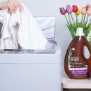 선유세탁 이미지