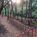 유아숲체험원(2) 이미지