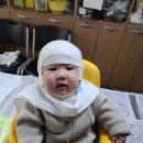 대호보조기상사 이미지