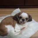 구월3동-12 이미지