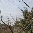 햇빛농장 이미지