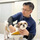 참좋은동물병원 이미지