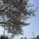 용산천변길 이미지