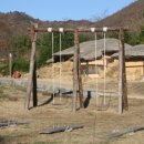 왕곡마을 이미지