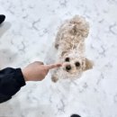 개스트룸 이미지