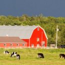 유리축산 이미지