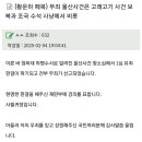 울산시장 선거개입 의혹 사건 무죄, 김기현어쩌냐 이미지