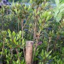 석암농장 이미지