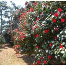 해지게길 이미지