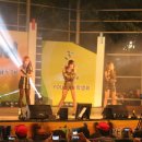 MC Daum카페