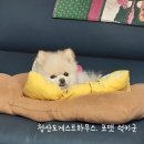 나드리고속관광