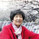 꽃비농원 서울신문