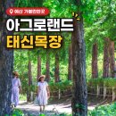 카페 - 천안시 서북구 불당21로 67-18 | 예산 아그로랜드 태신목장 트랙터 우유농가 카페 후기