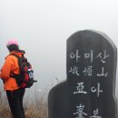 충남 보령 아미산행 이미지