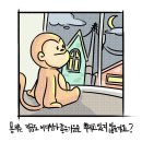리하이 마켓