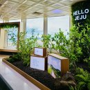 덕수당구놀이터 | 🌴제주여행,제주 신화월드 메리어트관 디럭스 스위트룸 투숙후기,워터파크,인피니티풀🌴