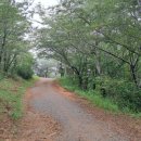 삼거리카센타 이미지