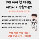 플라잉타이거태권도 이미지