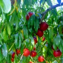 왕대박부동산공인중개사사무소 이미지