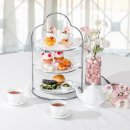 체리블러썸 이미지