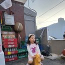 주산양만 - 고창군 | 대전 괴정동 주산회관, 아이와 다녀온 레트로 야장 생대패 맛집